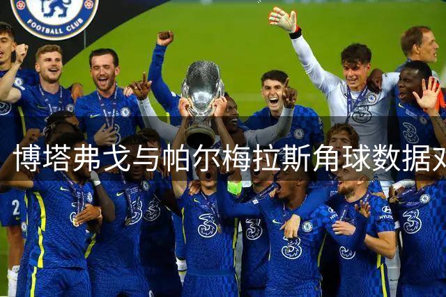 博塔弗戈与帕尔梅拉斯角球数据对比分析