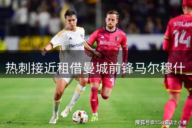 热刺接近租借曼城前锋马尔穆什 强制买断条款价值6000万镑